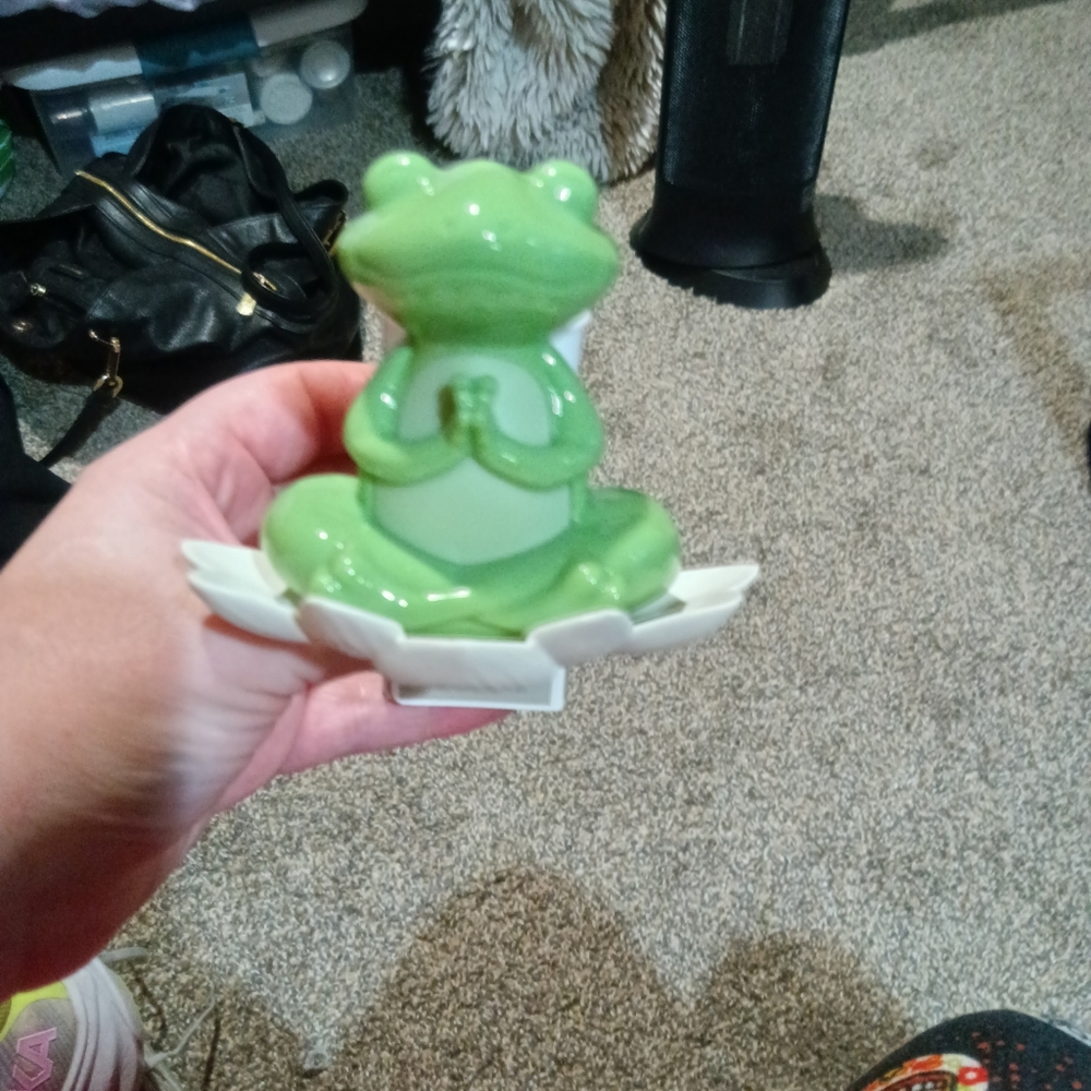 Frog wallflower